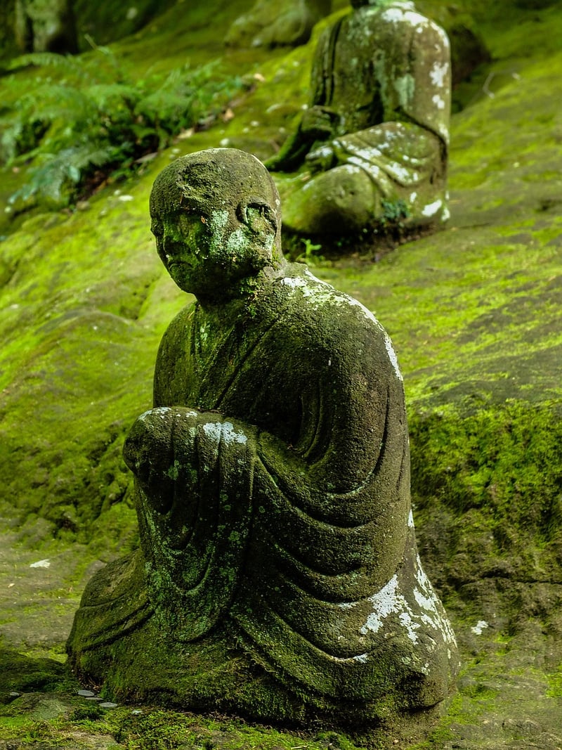 Meditation in Nature