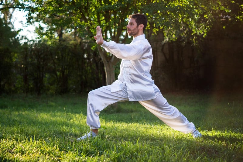 Tai Chi Chuan Image